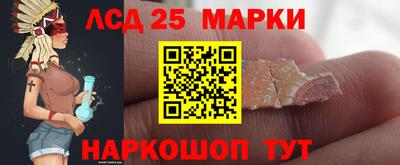 стафф Берёзовский
