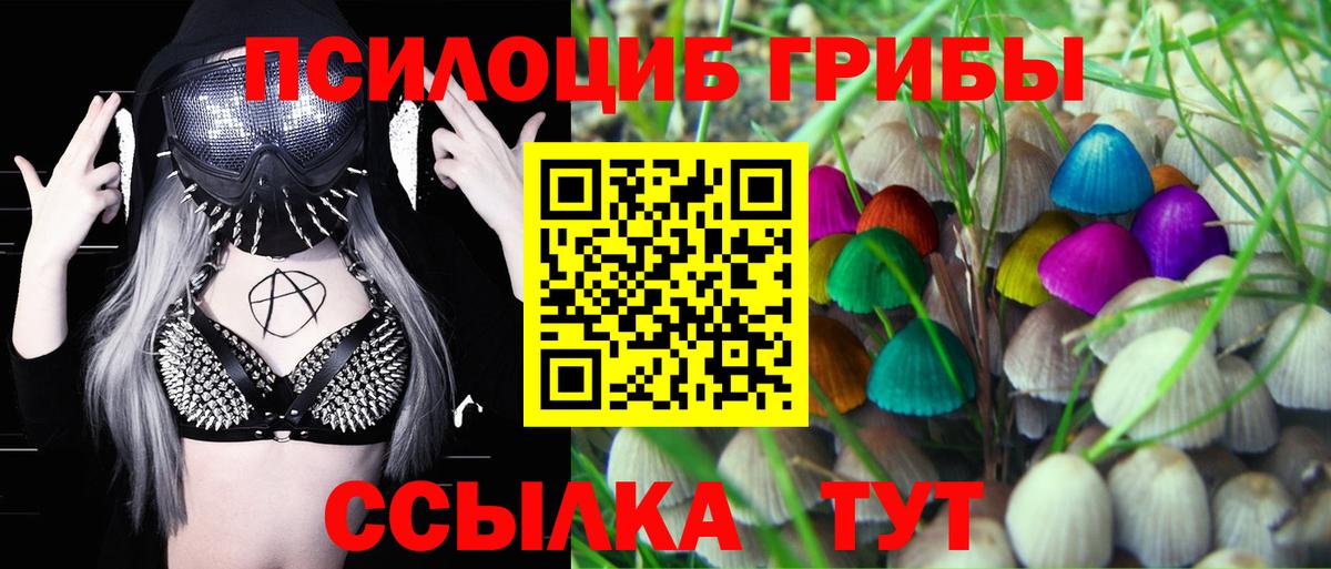 Галлюциногенные грибы Psilocybe  Вход с VPN  наркошоп  Киров 